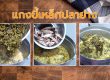 แกงขี้เหล็กปลาย่าง